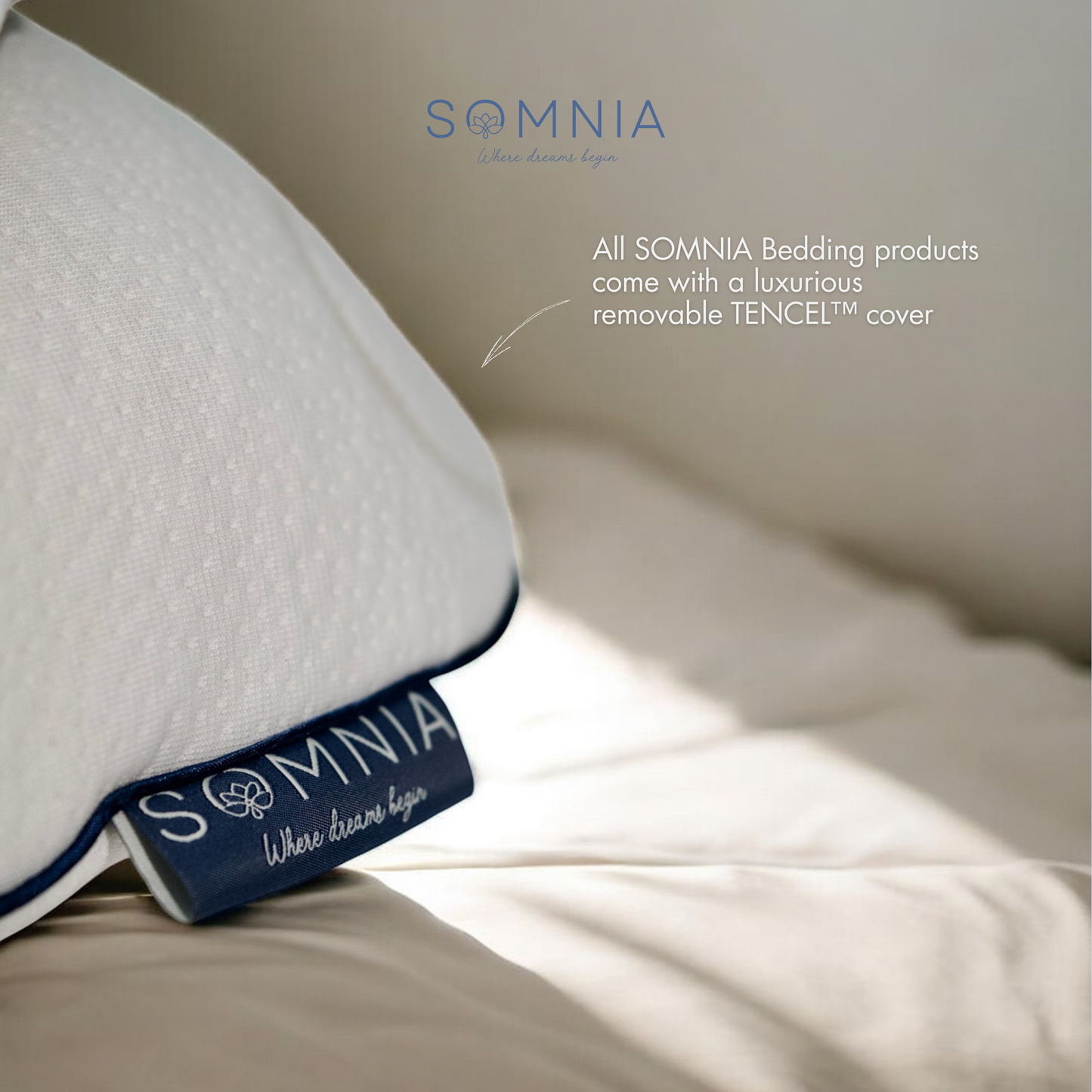 SOMNIA Classic Pillow - Balanced Support