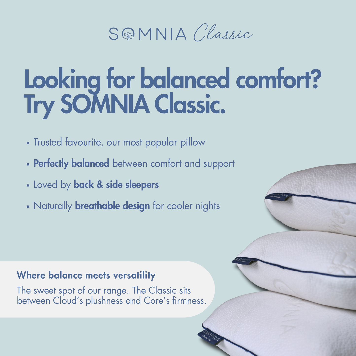 SOMNIA Classic Pillow - Balanced Support